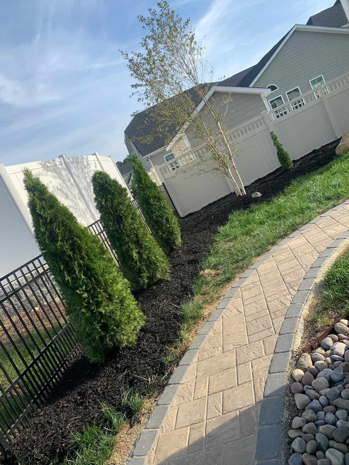Enhanced privacy with lush evergreen trees and a modern black fence.