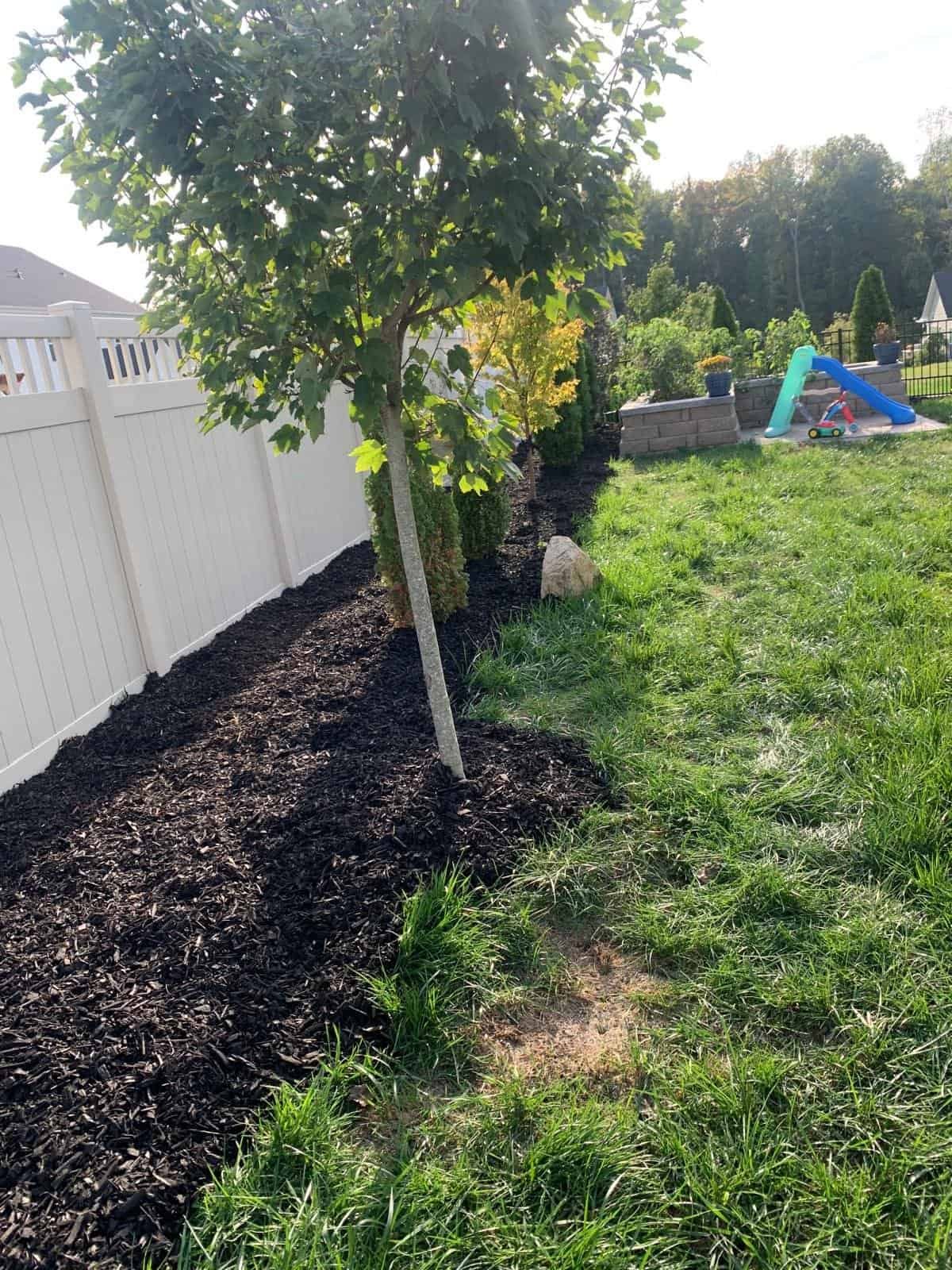 Tree and shrub planting for a serene, landscaped outdoor space.