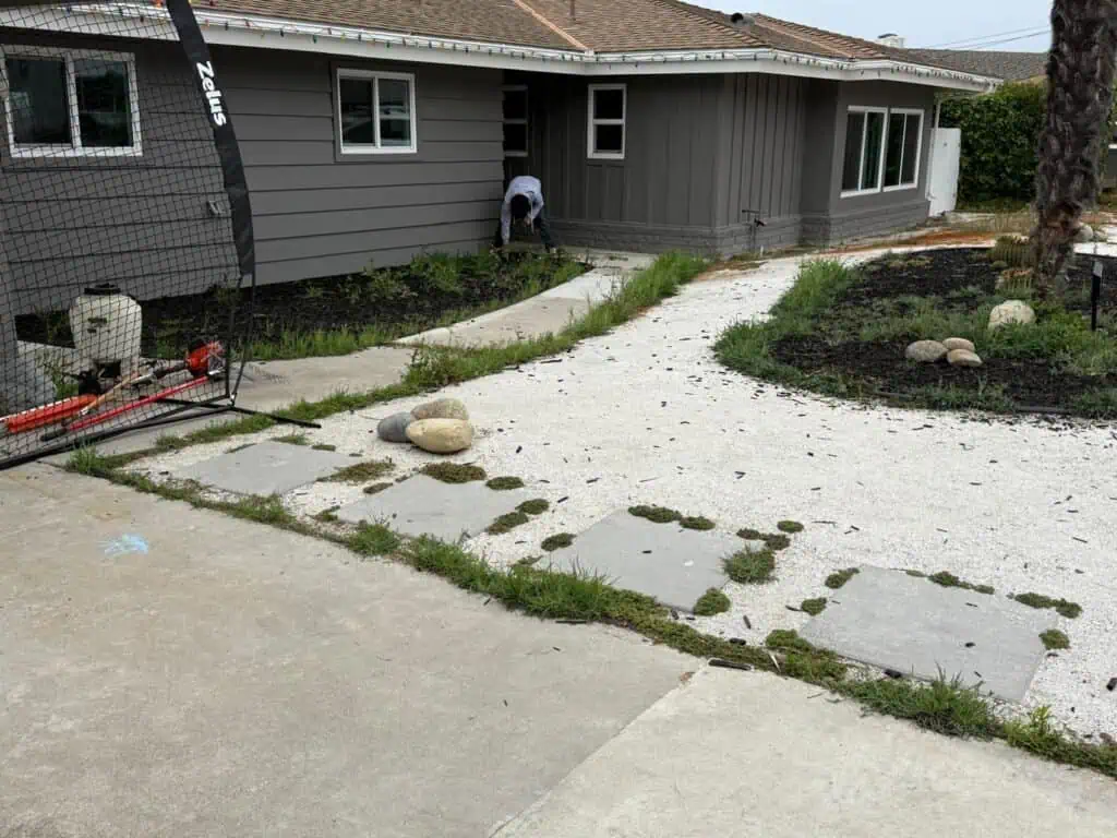 Beautiful garden pathway with rocks, plants, and fresh landscaping elements.