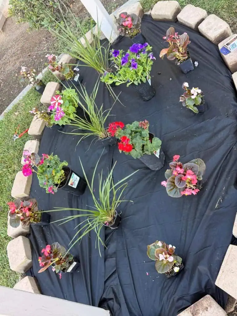 Bright, vibrant flowering plants being prepared for landscaping installation, showcasing professional garden design.